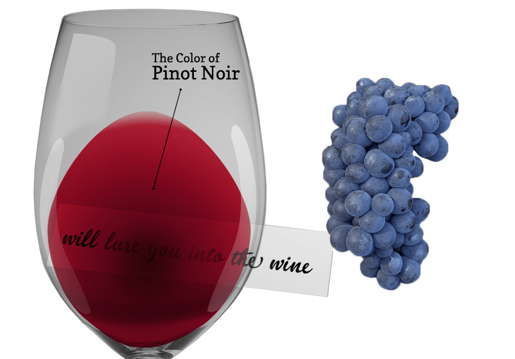 Hình ảnh cho danh mục Pinot Noir