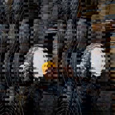 Caskshare bắt đầu dự án thùng gỗ 30 lít