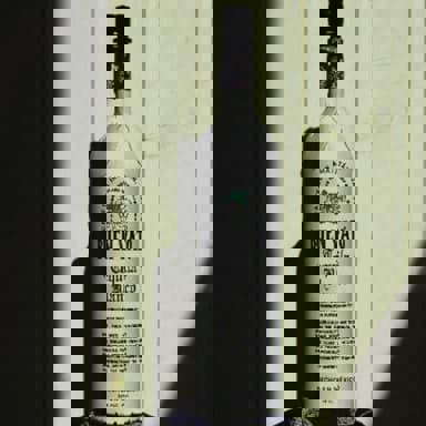 Ra mắt rượu Tequila in Cardboard đầu tiên trên thế giới