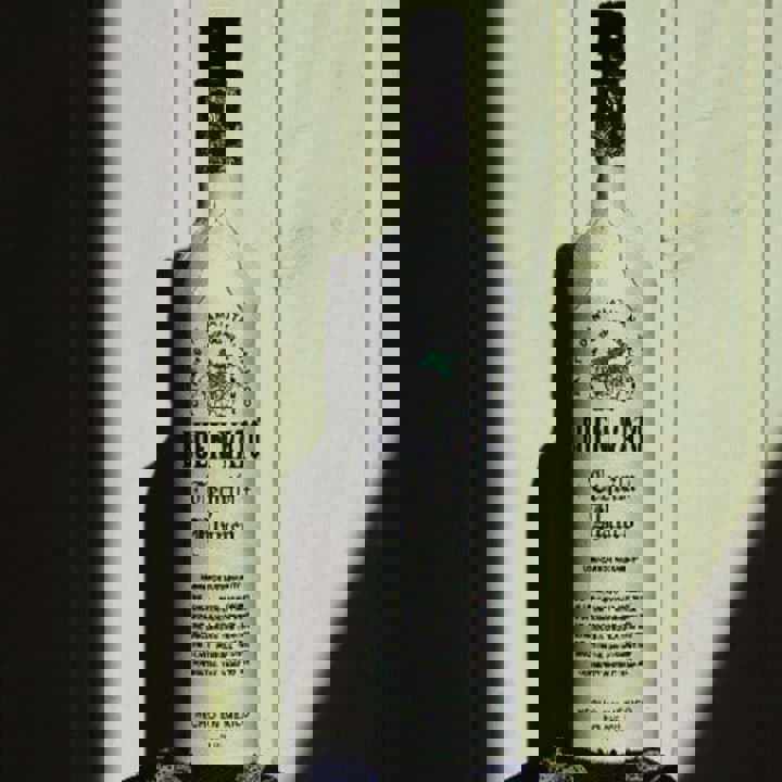 Ra mắt rượu Tequila in Cardboard đầu tiên trên thế giới